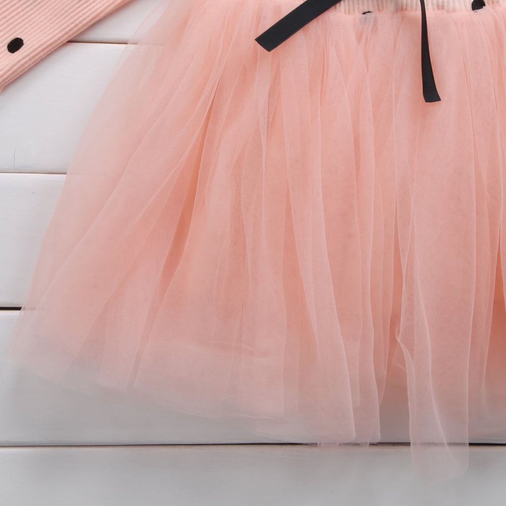 Baby Girls Spring Winter Long Sleeve Tutu Lace Dresses Infantil Newborn 1st Birthday Party Clothes Christening Gown Casual Wear - ANIBEY